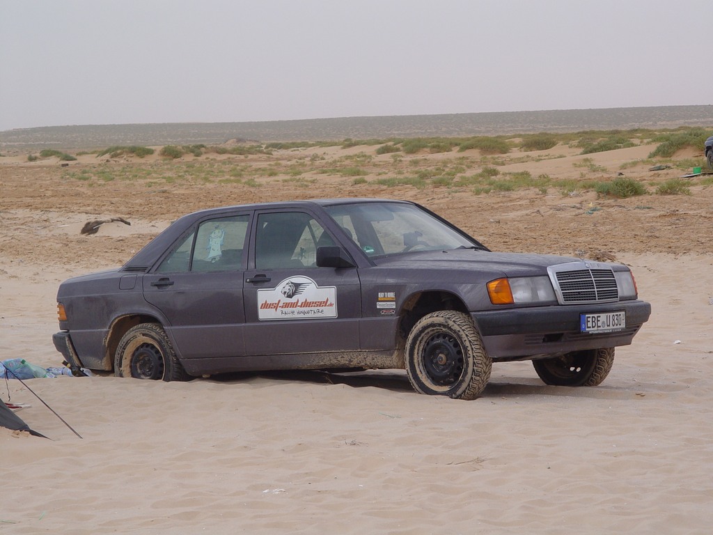 dsc04704.jpg