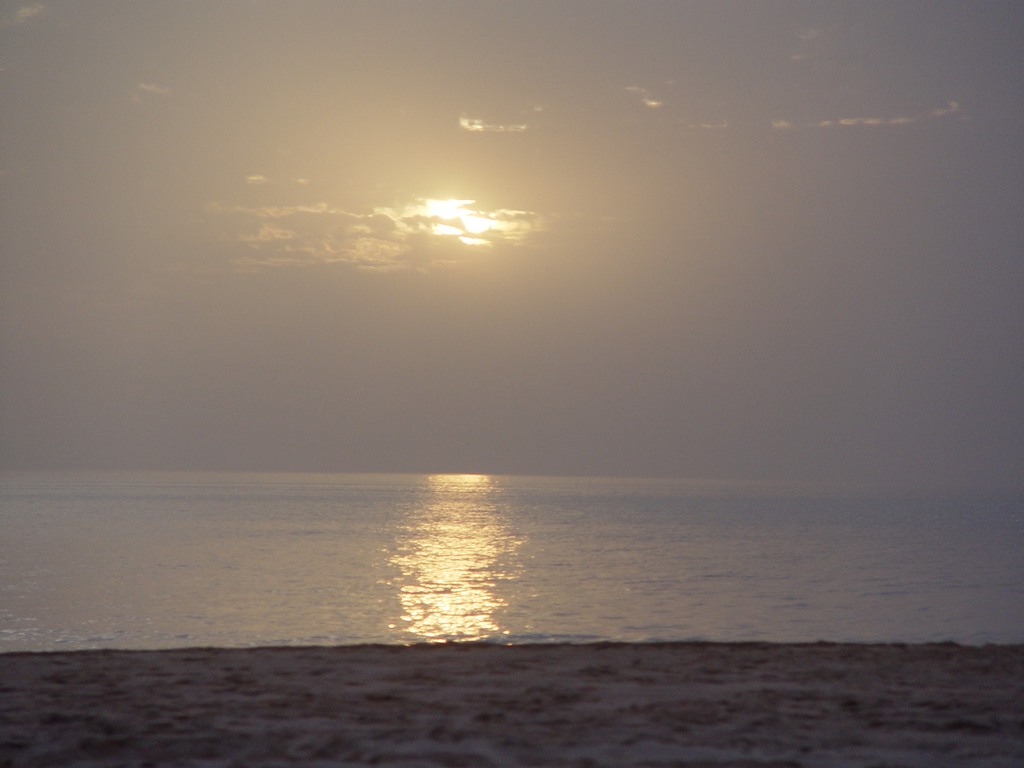 dsc04706.jpg