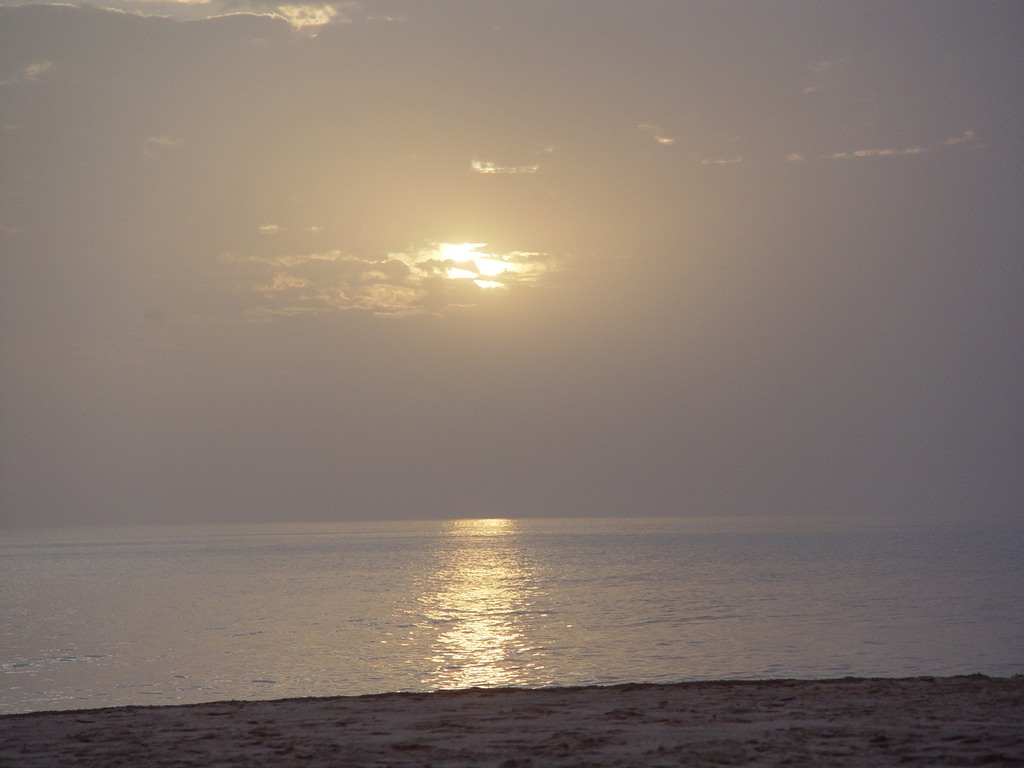 dsc04707.jpg