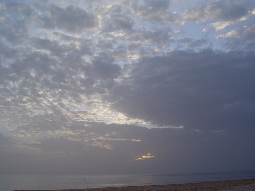 dsc04710.jpg