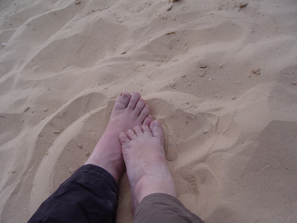 dsc04712.jpg