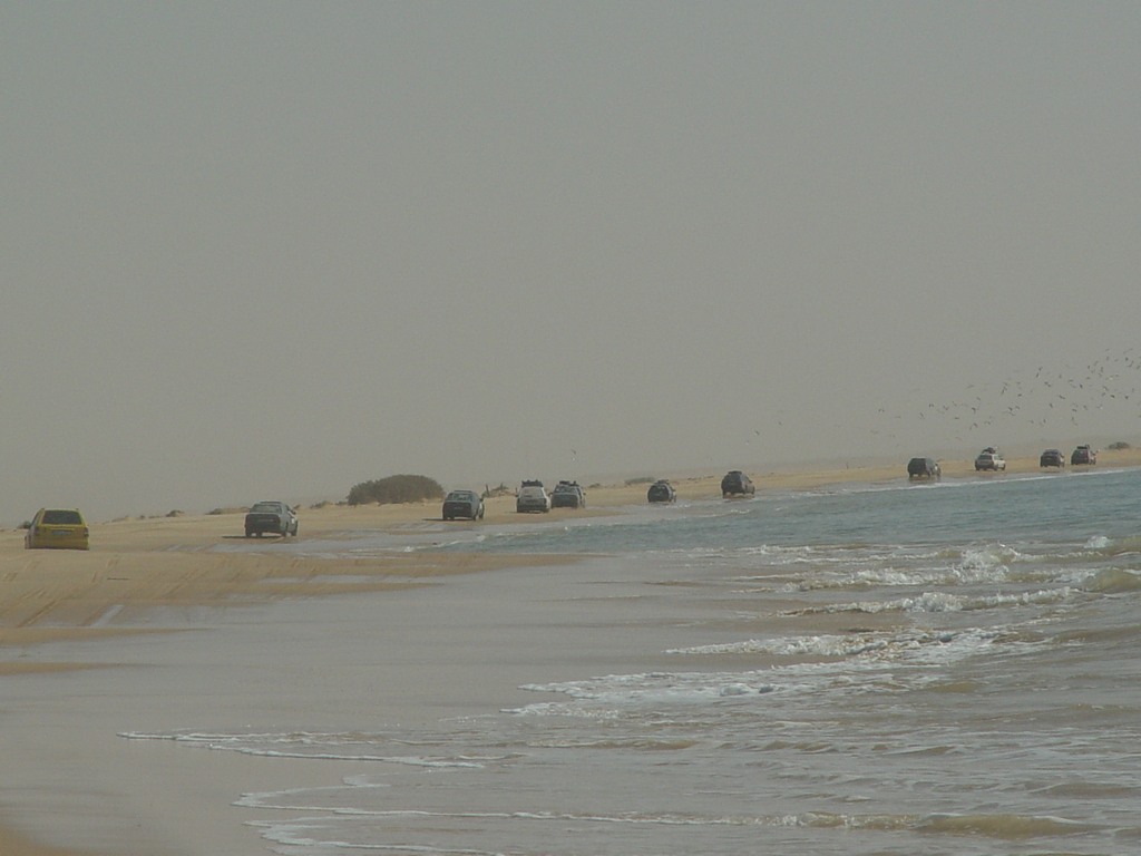 dsc04719.jpg