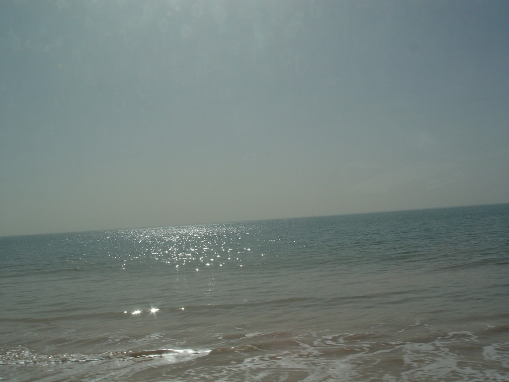 dsc04722.jpg