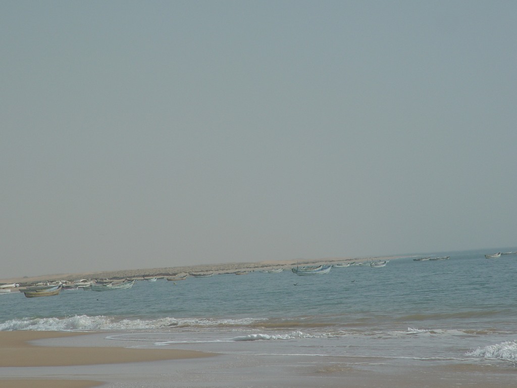 dsc04723.jpg