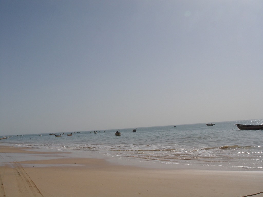 dsc04727.jpg