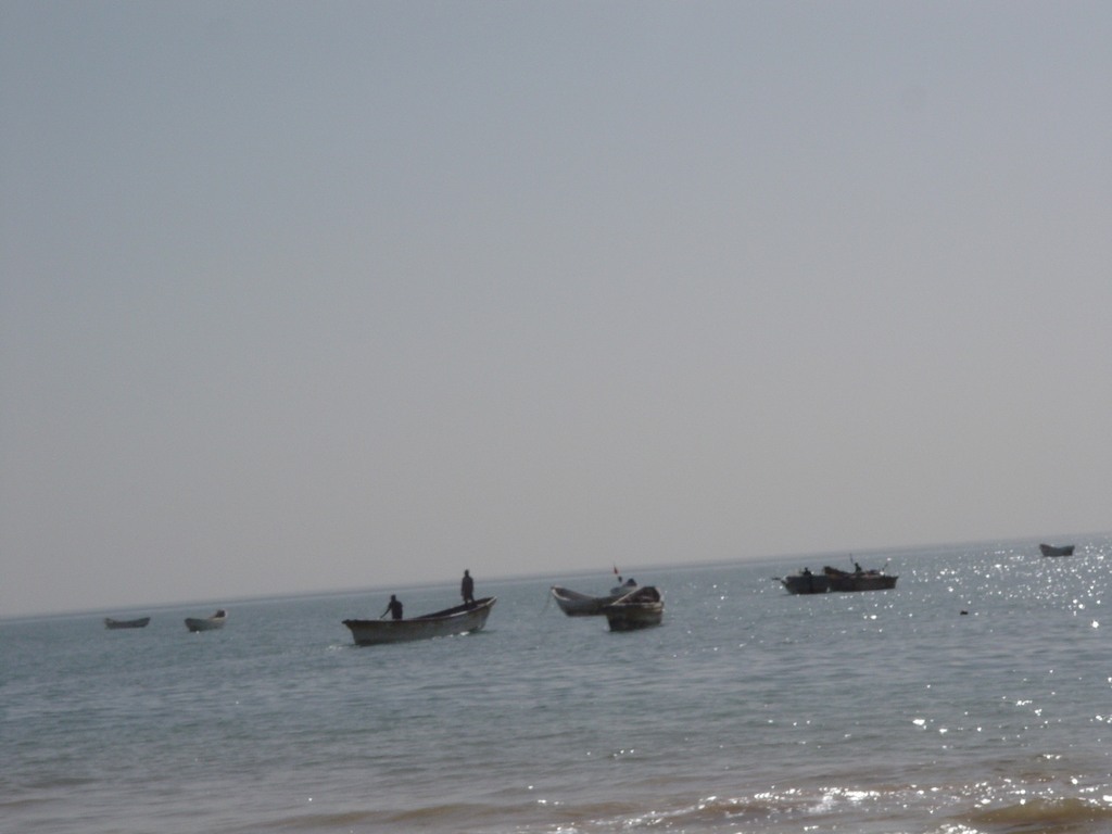 dsc04736.jpg