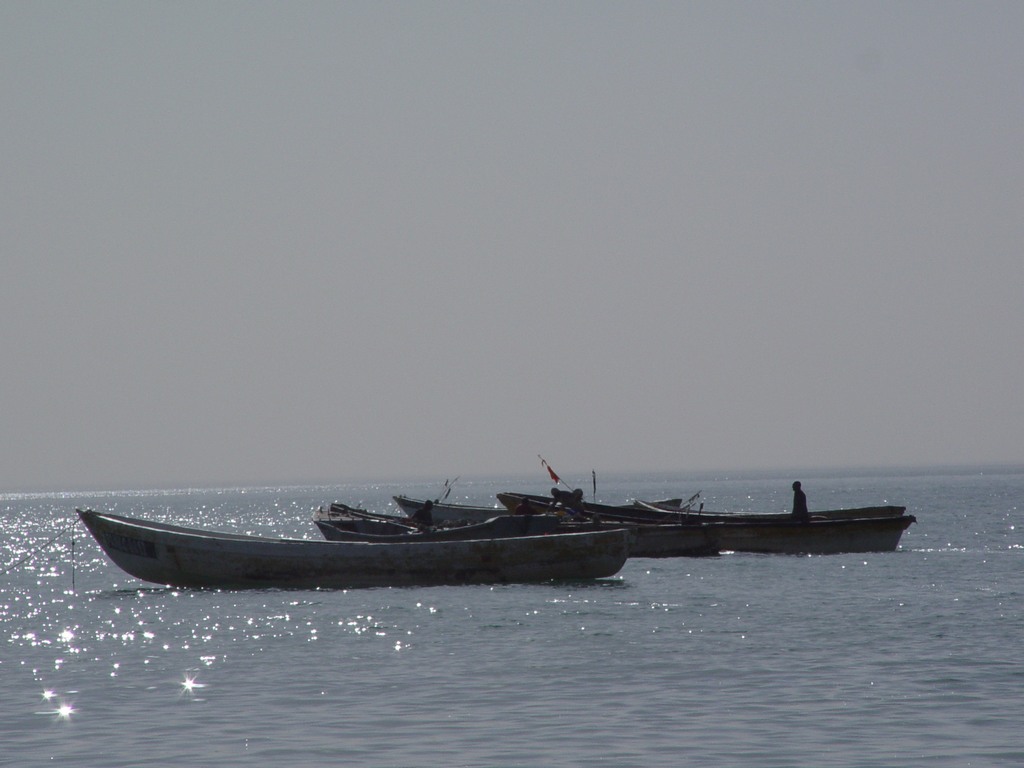dsc04737.jpg