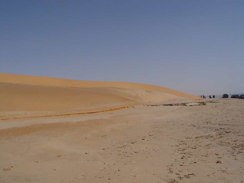 dsc04748.jpg