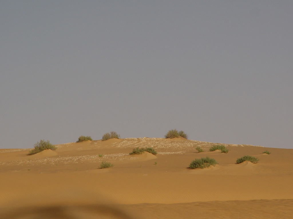 dsc04755.jpg