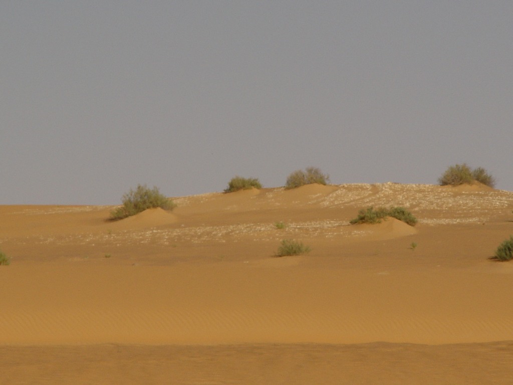 dsc04756.jpg