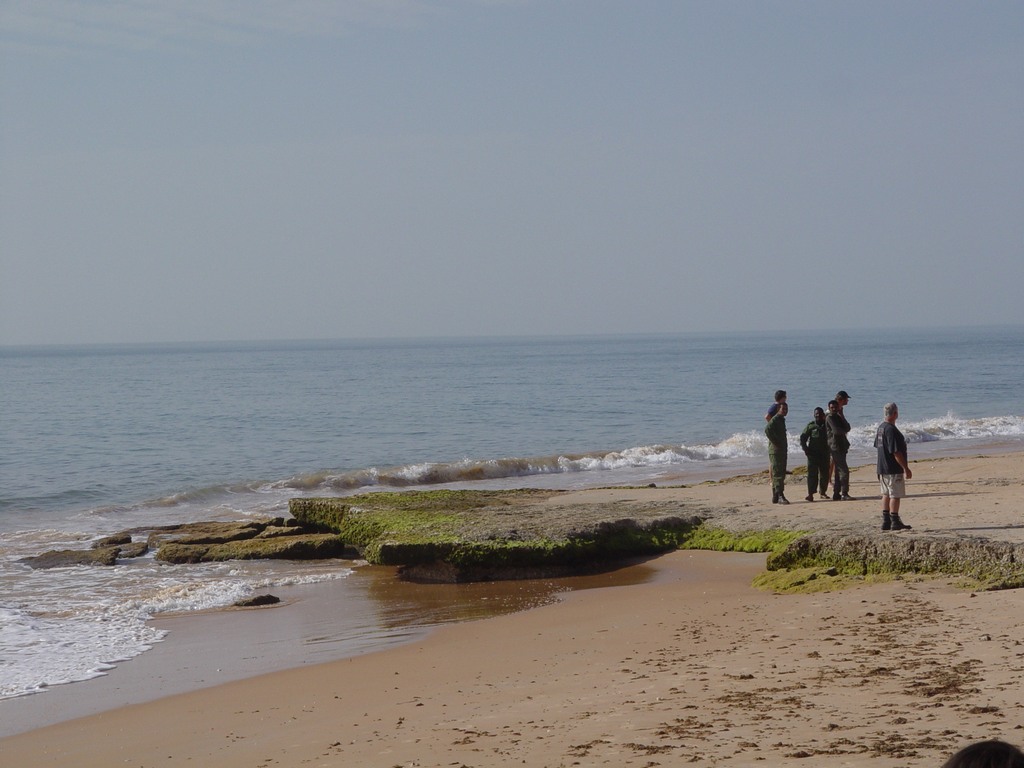 dsc04758.jpg