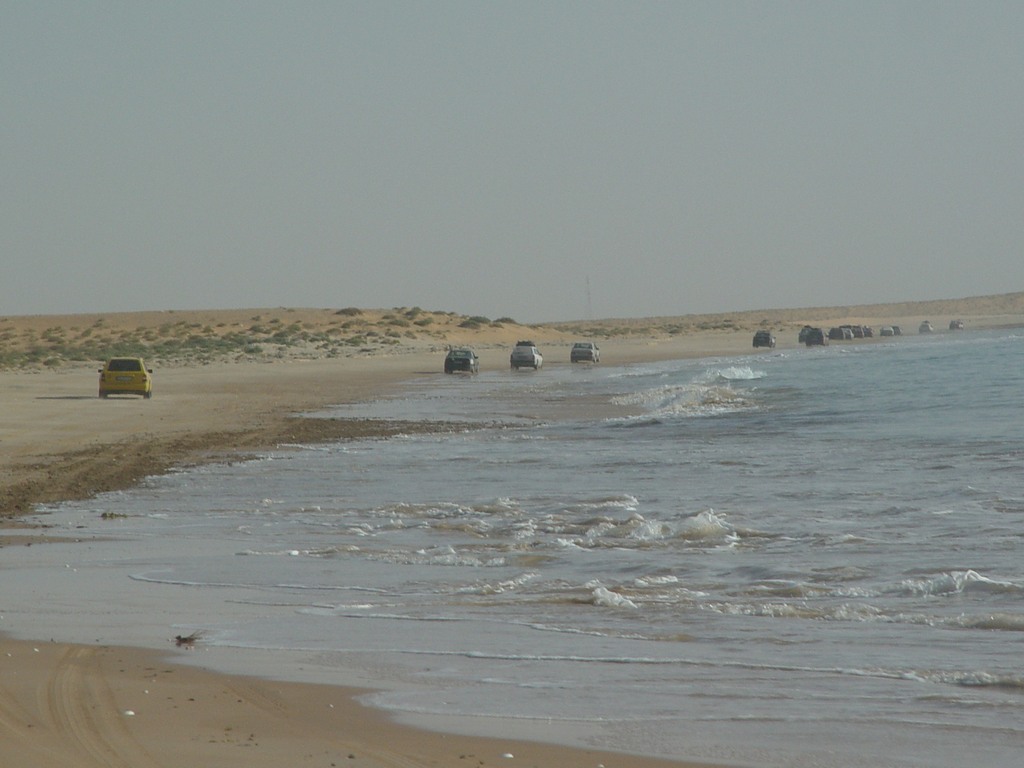 dsc04785.jpg