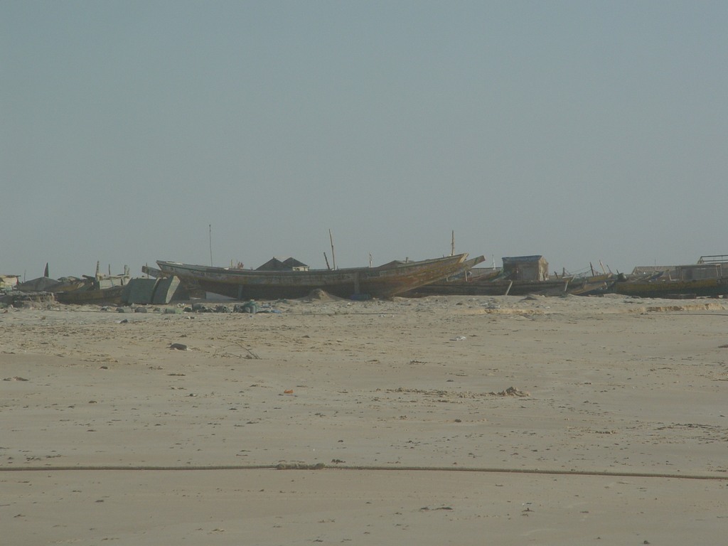 dsc04790.jpg
