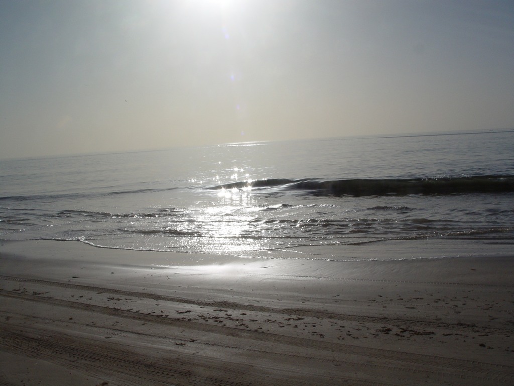dsc04804.jpg