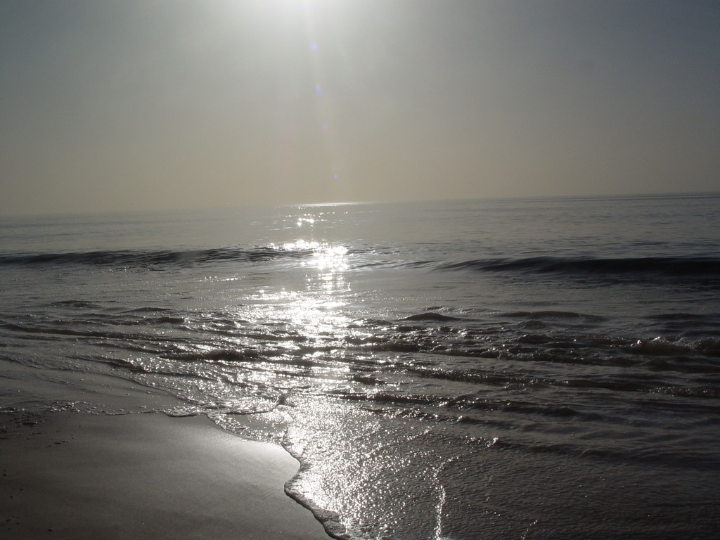 dsc04807.jpg
