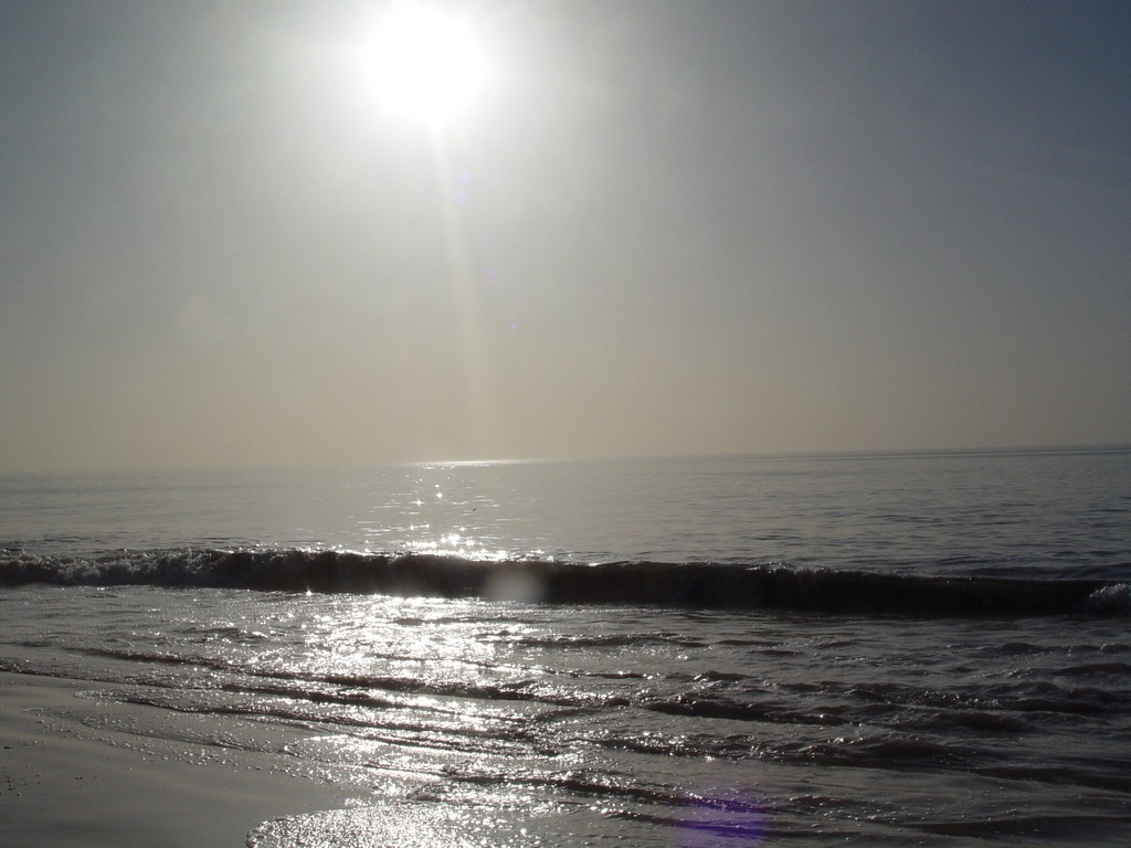 dsc04808.jpg