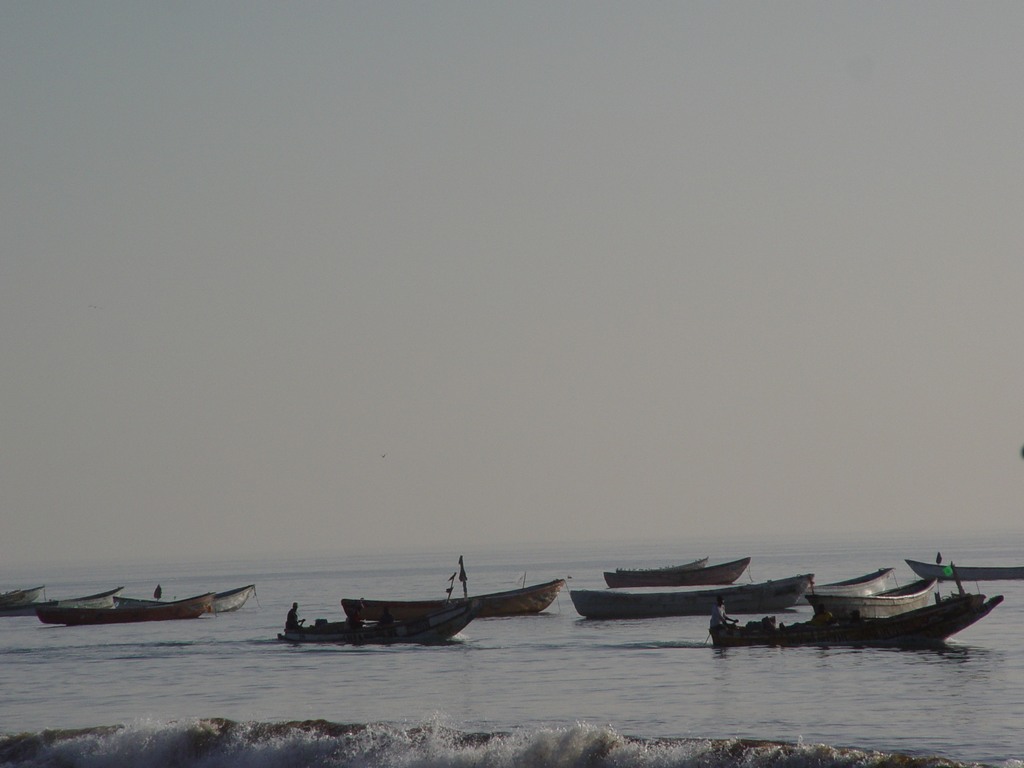 dsc04814.jpg