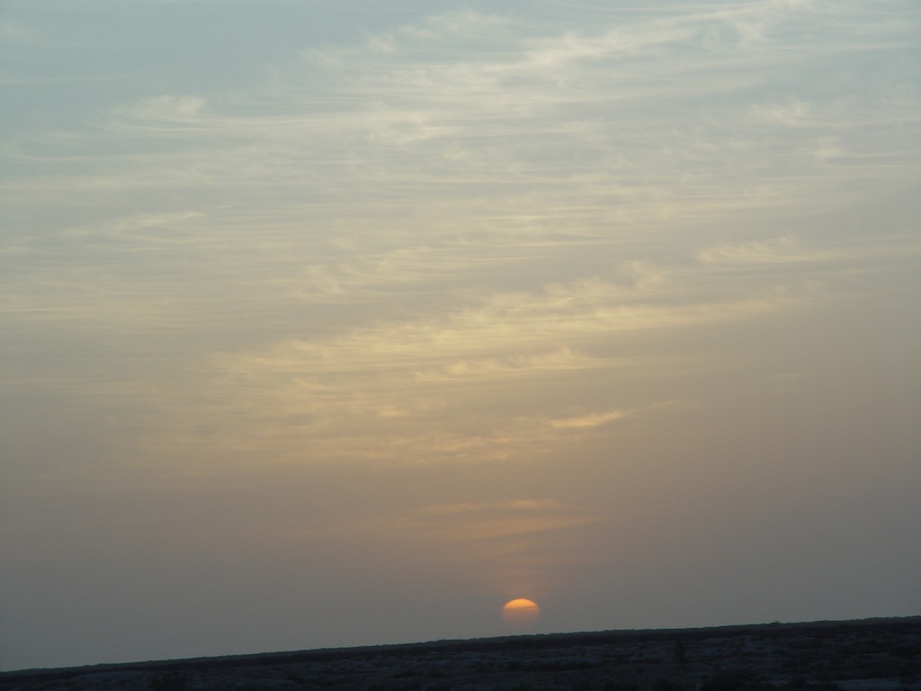 dsc04838.jpg