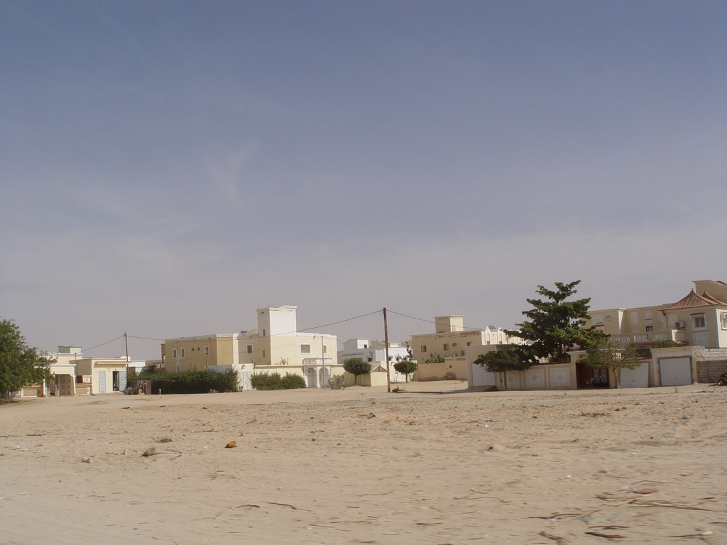 dsc04874.jpg