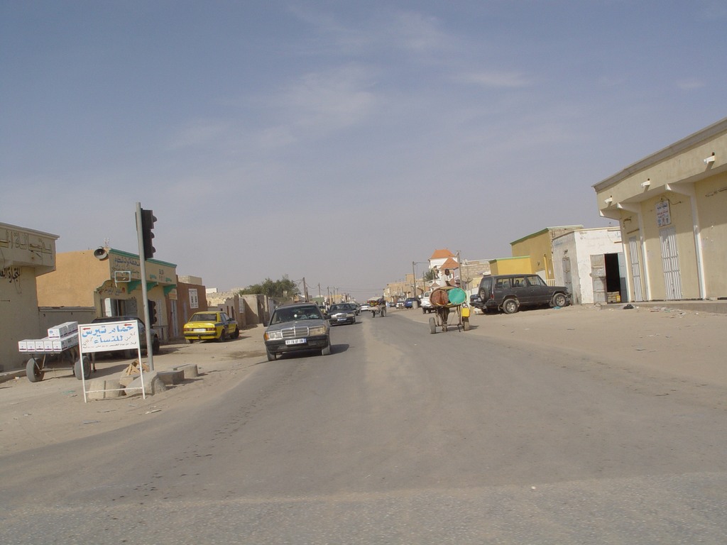 dsc04930.jpg