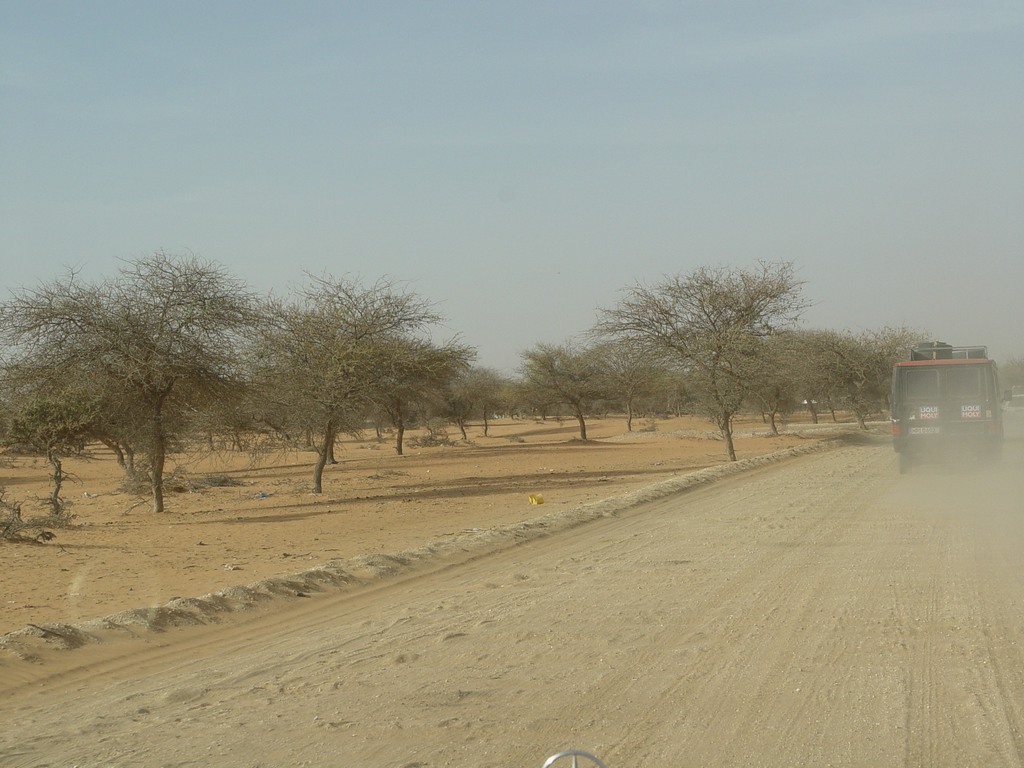dsc04985.jpg