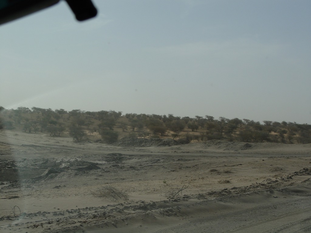 dsc04992.jpg