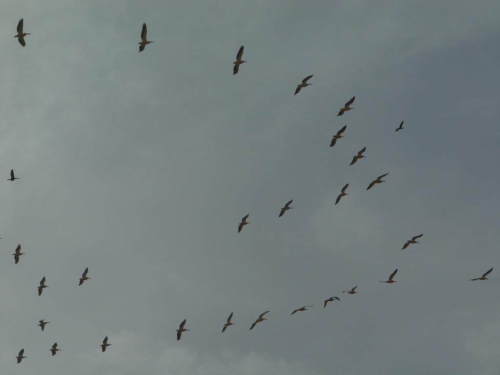 dsc05013.jpg