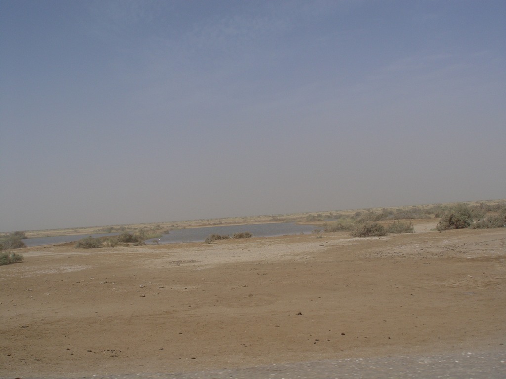 dsc05015.jpg