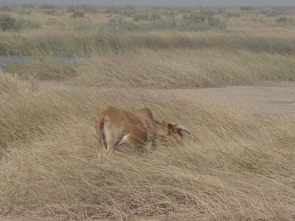 dsc05022.jpg
