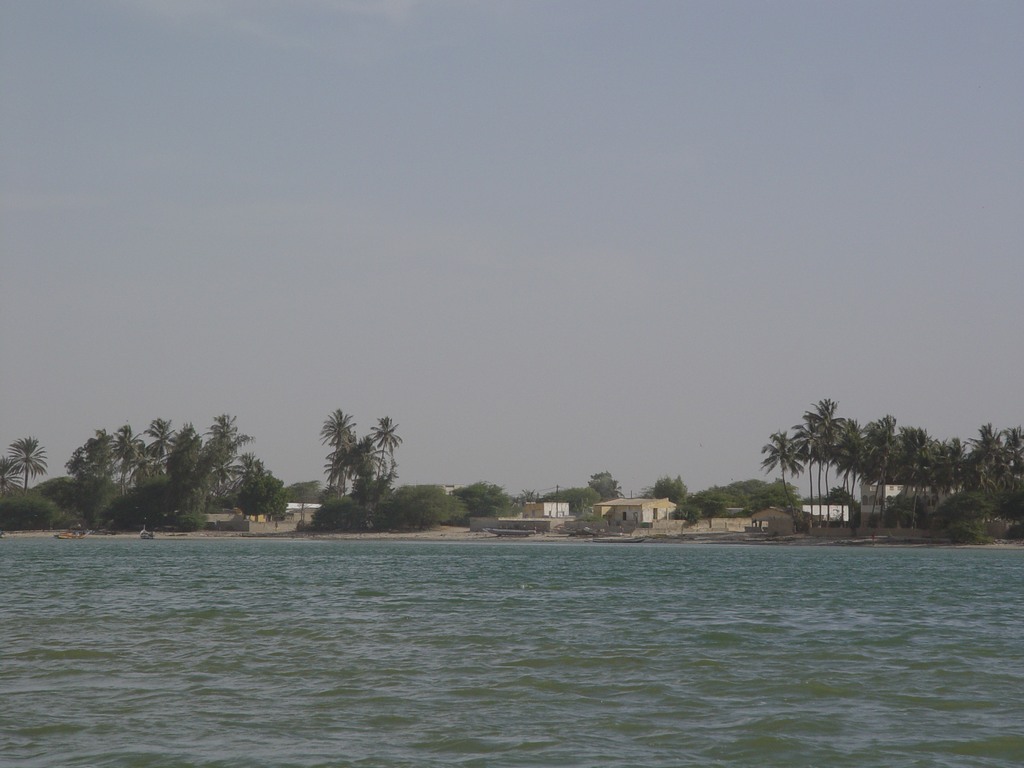 dsc05097.jpg
