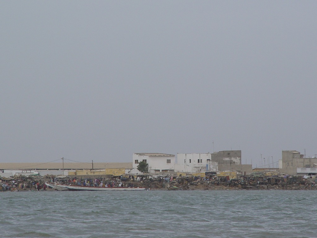 dsc05104.jpg