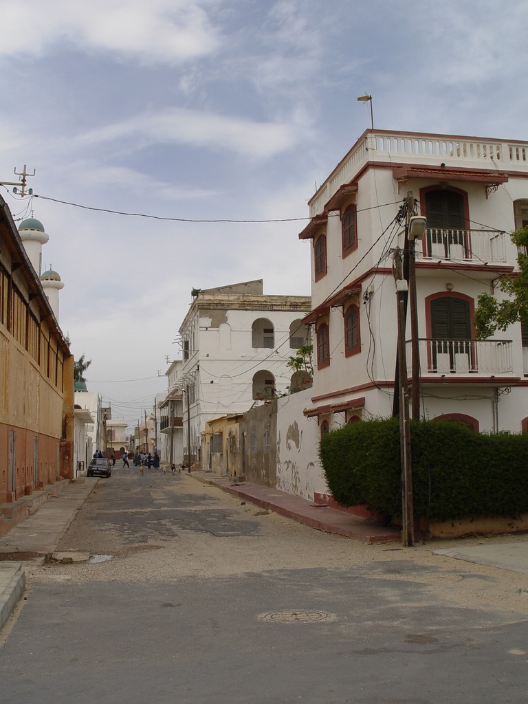 dsc05110.jpg
