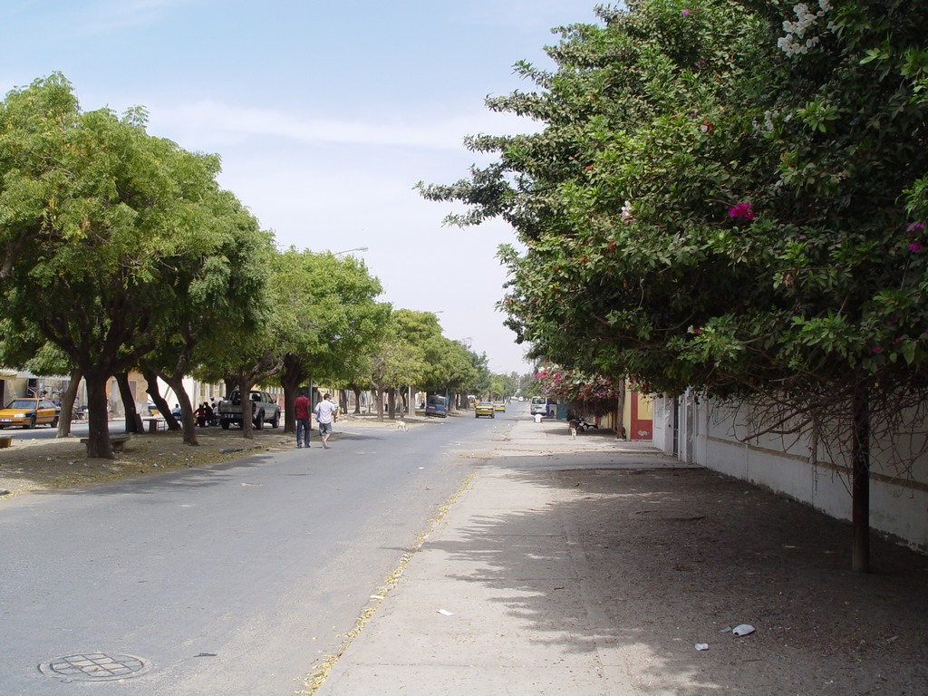 dsc05118.jpg