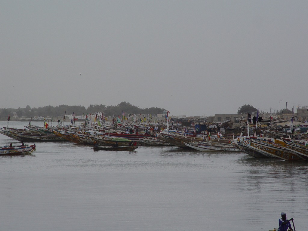 dsc05129.jpg