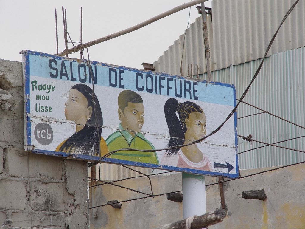 dsc05139.jpg