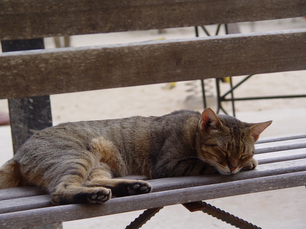 dsc05174.jpg