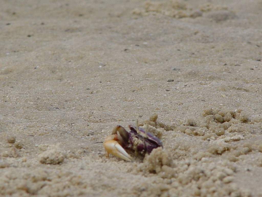 dsc05213.jpg