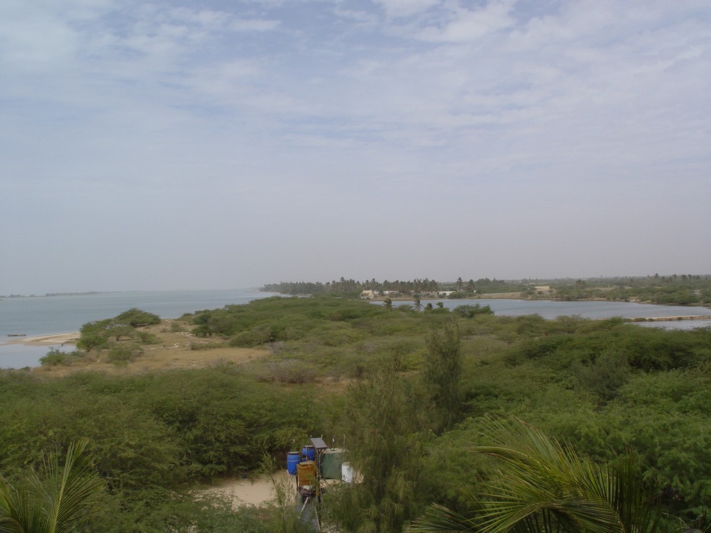 dsc05245.jpg