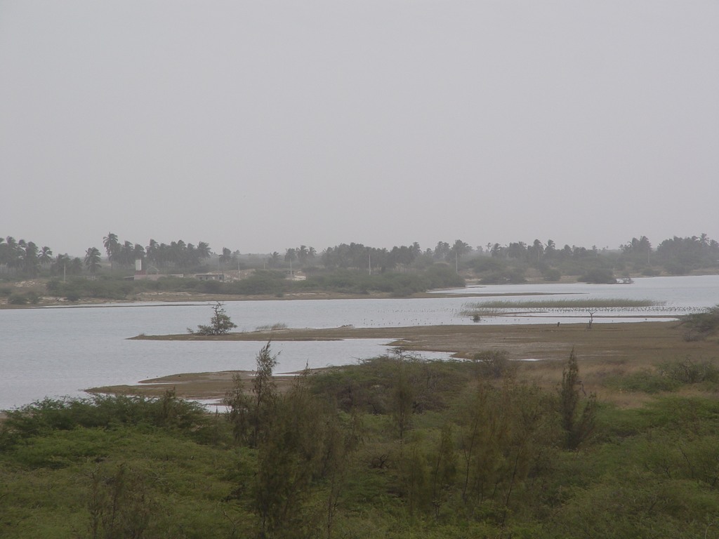 dsc05249.jpg