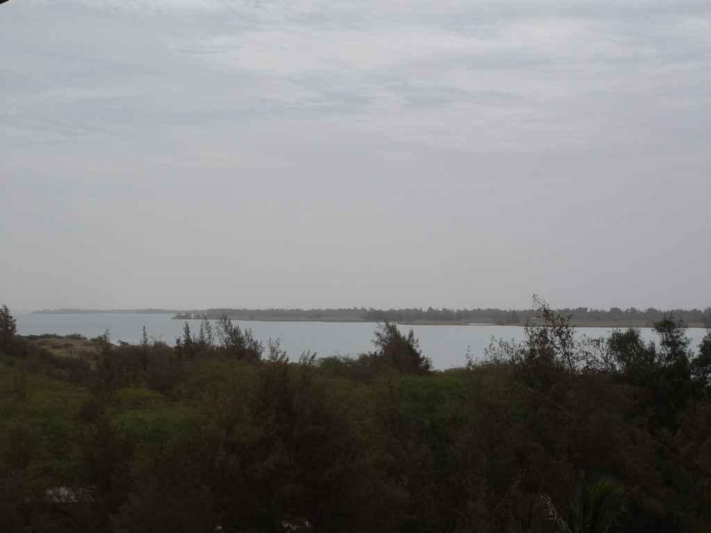 dsc05250.jpg