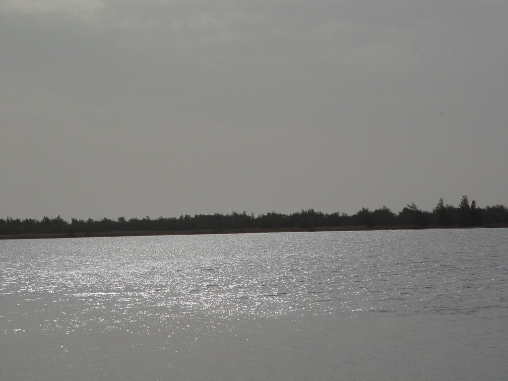 dsc05254.jpg
