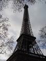 dsc03365.jpg