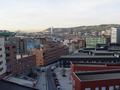 dsc03376.jpg