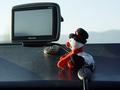 dsc03385.jpg