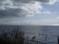 dsc03405.jpg