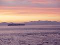 dsc03434.jpg