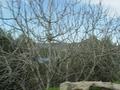dsc03441.jpg