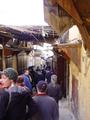 dsc03526.jpg