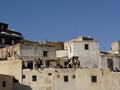 dsc03534.jpg
