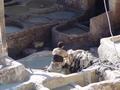dsc03547.jpg